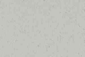 Линолеум Forbo Marmoleum Decibel on Order 362935 frosty grey фото  | FLOORDEALER